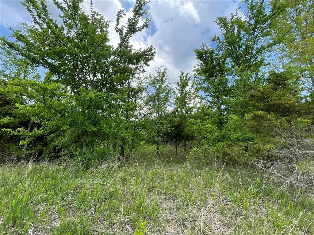 Posy Mountain Drive Lot 319 Drive, Garfield, AR 72732 - #1