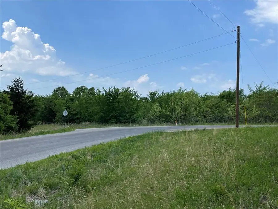 Posy Mountain Drive Lot 319 Drive, Garfield, AR 72732 - #2