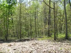 Argyll Drive, Bella Vista, AR 72715 - #2