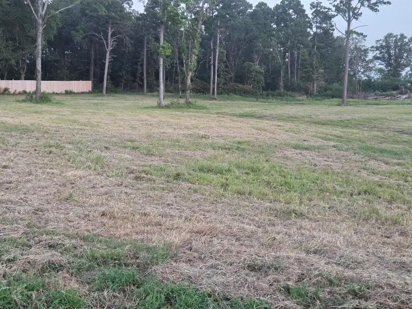 Jolea Beth Loop, Dover, AR 72837 - #1