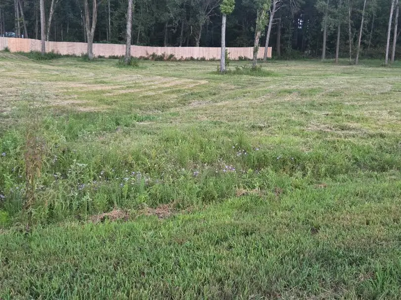 Jolea Beth Loop, Dover, AR 72837 - #2