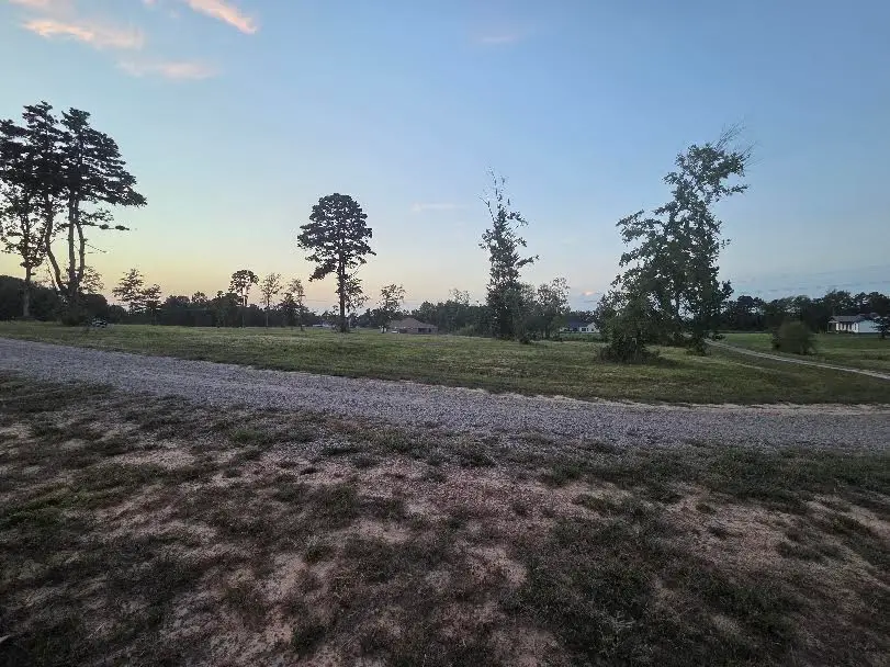 265 Jolea Beth Loop, Dover, AR 72837 - #2