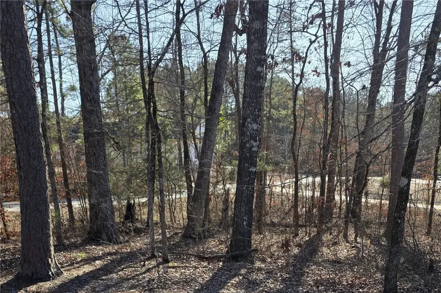 76 Elcano Drive, Hot Springs Village, AR 71909 - #3