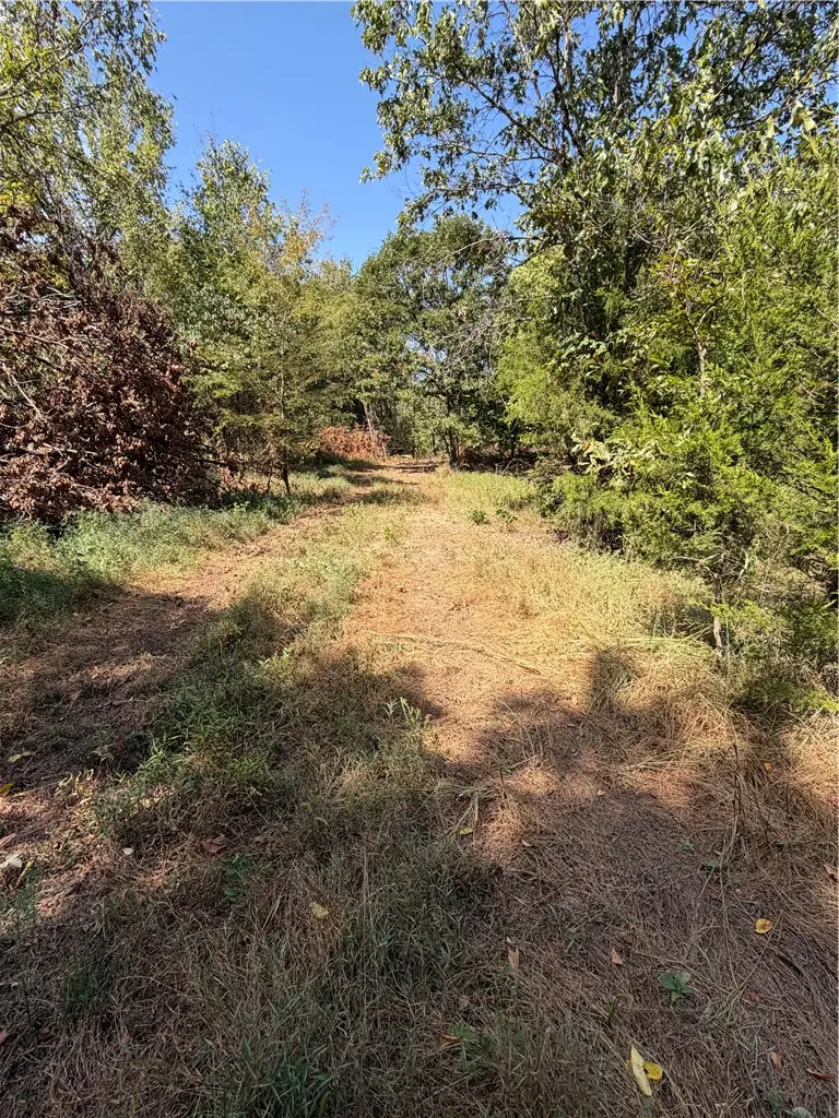 244 N N Hwy 244, Summers, AR 72769 - #1