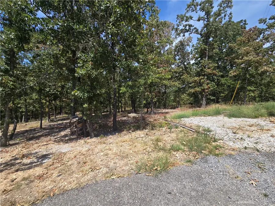 Lot 6 Lothian Lane, Bella Vista, AR 72715 - #2