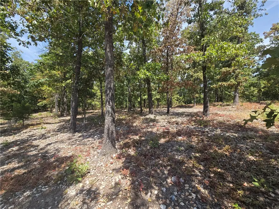 Lot 6 Lothian Lane, Bella Vista, AR 72715 - #3
