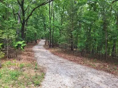 172 Saint Simons Lane, Eureka Springs, AR 72632 - #3