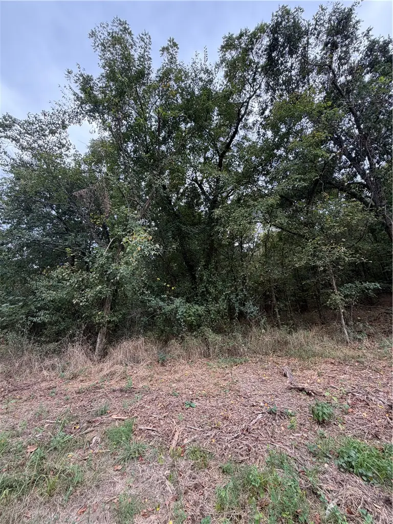 TBD Keck Road, Siloam Springs, AR 72761 - #2