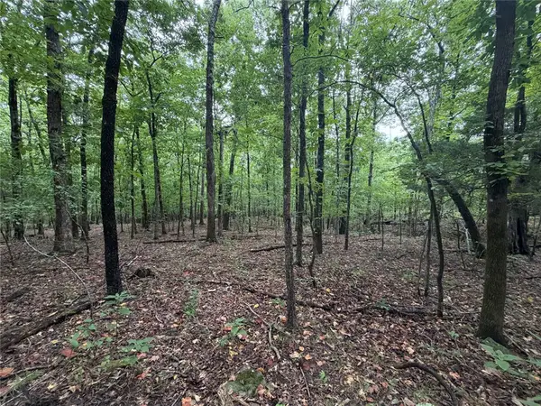 Tract 6 Nc 6832, Jasper, AR 72641