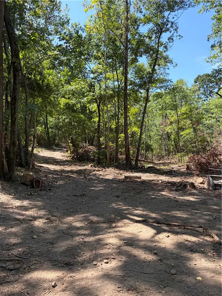 TBD N Hwy 244, Summers, AR 72769 - #2