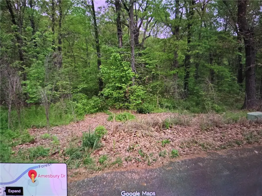 Lot 7 Amesbury Drive, Bella Vista, AR 72714 - #2