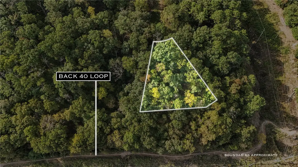 Clivenden Lane, Bella Vista, AR 72714 - #1