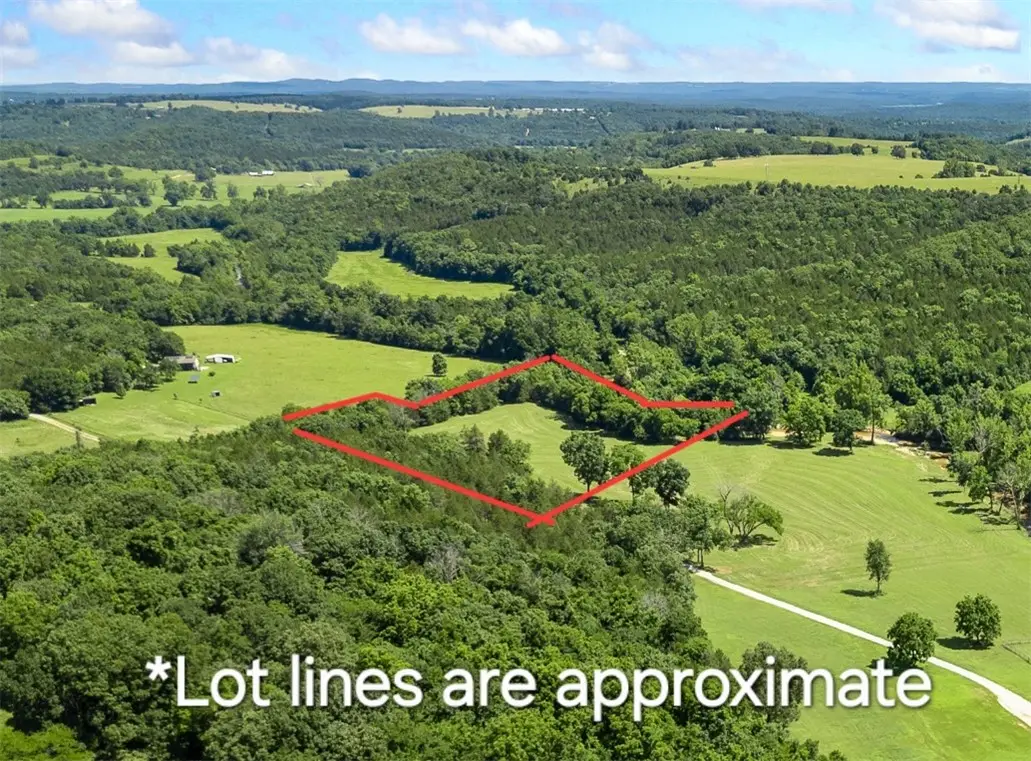 Lot 1 N Cedar Grove Road, Lead Hill, AR 72644 - #1