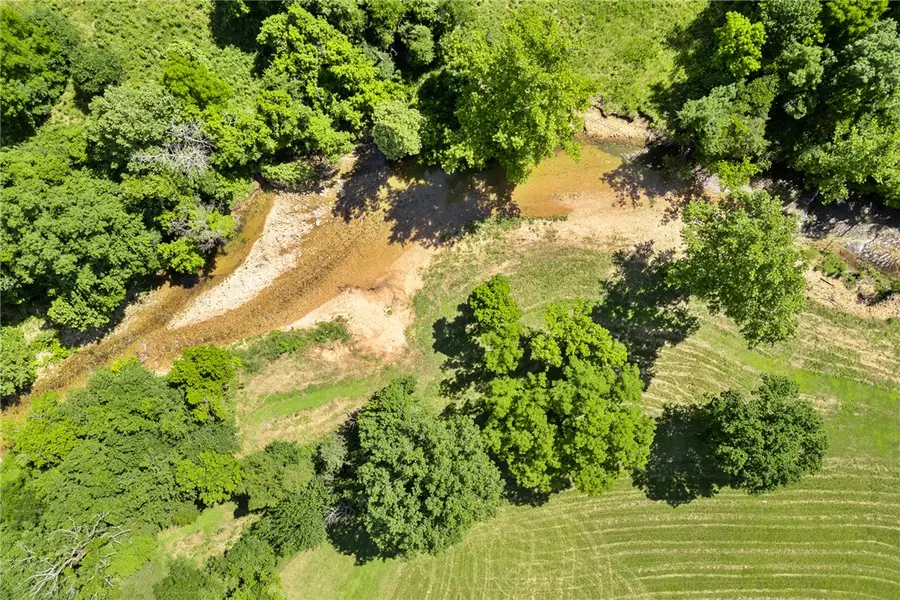 Lot 1 N Cedar Grove Road, Lead Hill, AR 72644 - #3