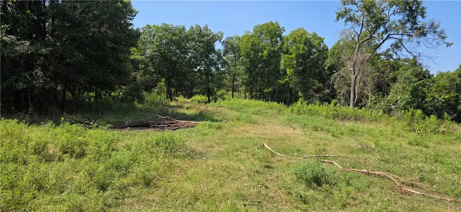 Hopewell, Harrison, AR 72601 - #3