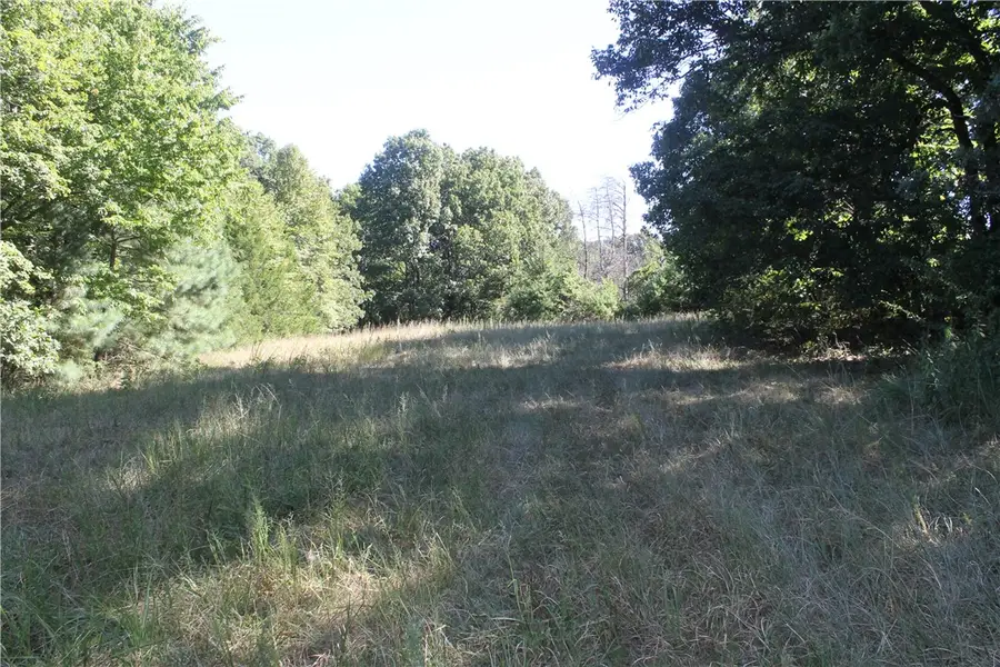 163 Acres Low Gap Road, West Fork, AR 72774 - #3
