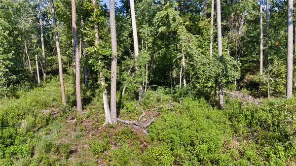 000 Welcome Home Road, Hector, AR 72843