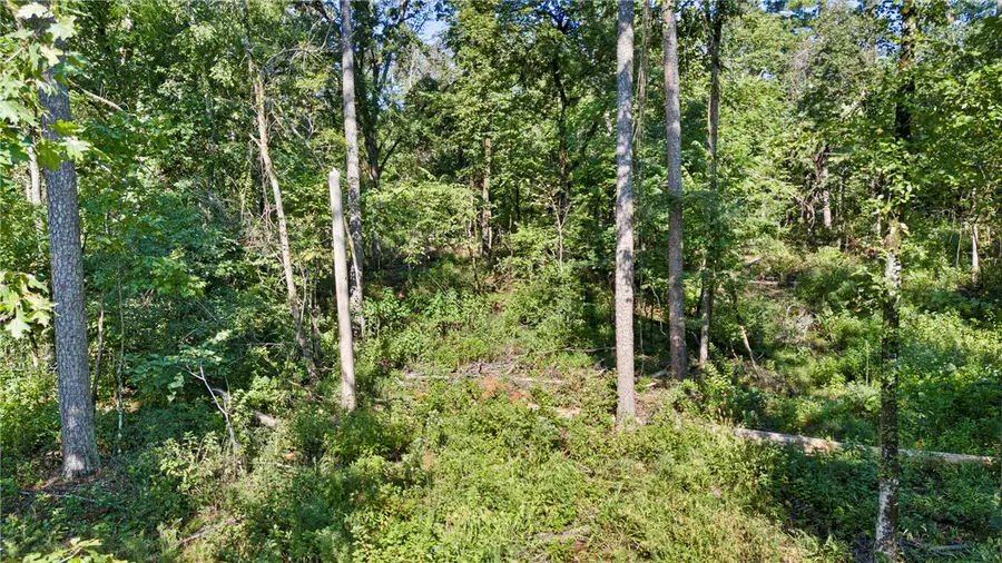 000 Welcome Home Road, Hector, AR 72843 - #2