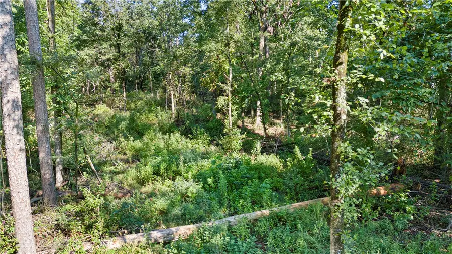 000 Welcome Home Road, Hector, AR 72843 - #3
