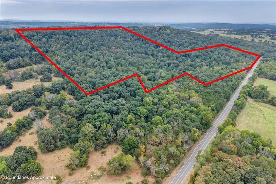 48.77 Acres Hwy 45, Hindsville, AR 72738 - #3