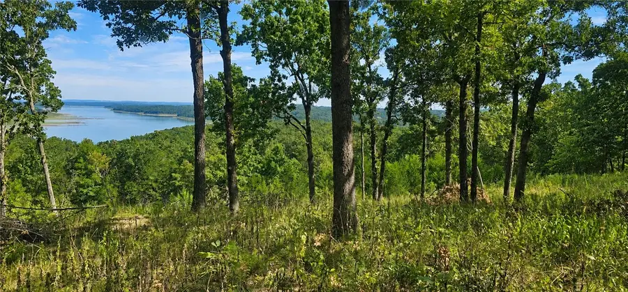 Mc 2048, Lead Hill, AR 72644 - #2