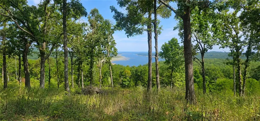 Mc 2048, Lead Hill, AR 72644 - #3