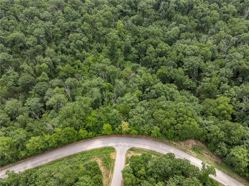 Cullen Hills Drive, Bella Vista, AR 72715 - #1