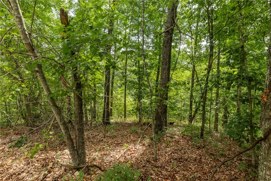 Cullen Hills Drive, Bella Vista, AR 72715 - #2