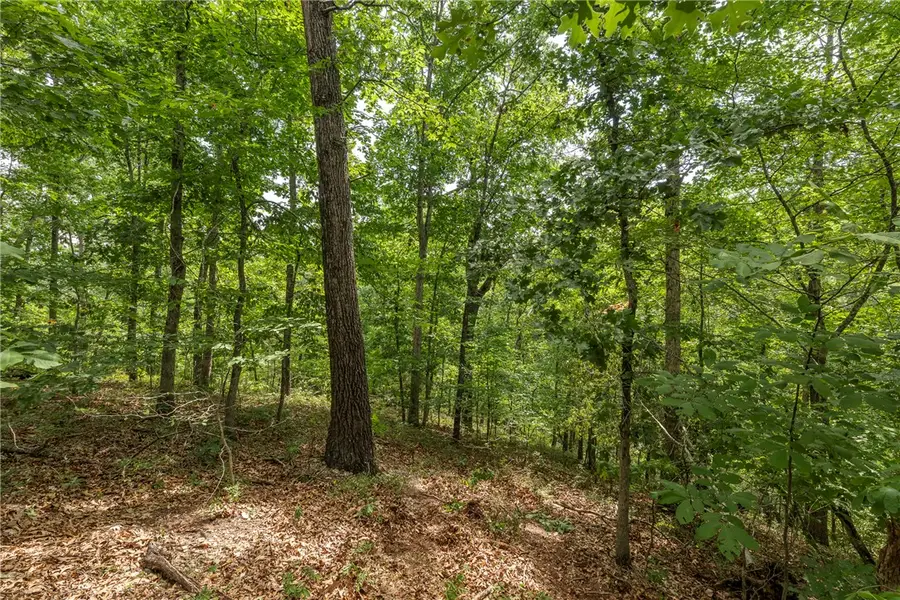 Cullen Hills Drive, Bella Vista, AR 72715 - #3