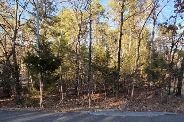 13 Promesa Place, Hot Springs Village, AR 71909