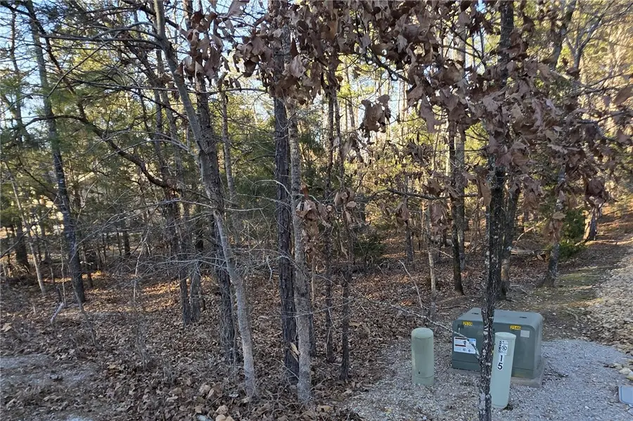 13 Promesa Place, Hot Springs Village, AR 71909 - #3