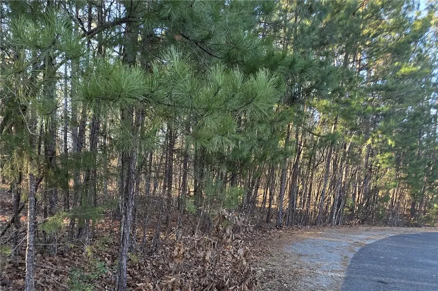 36 Promesa Lane, Hot Springs Village, AR 71909 - #2