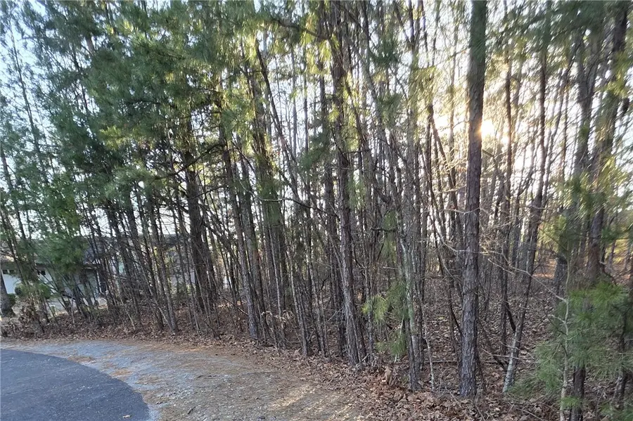 36 Promesa Lane, Hot Springs Village, AR 71909 - #3