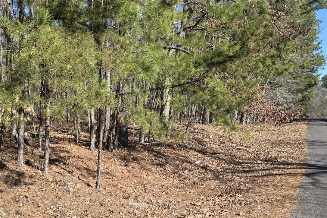 Sacedon Way, Hot Springs Village, AR 71909 - #1