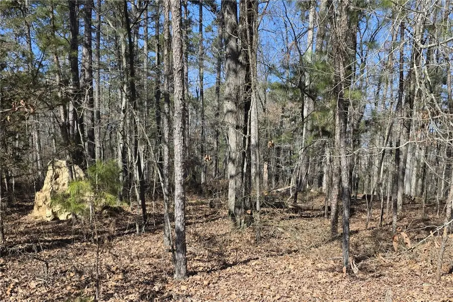 Sacedon Way, Hot Springs Village, AR 71909 - #3
