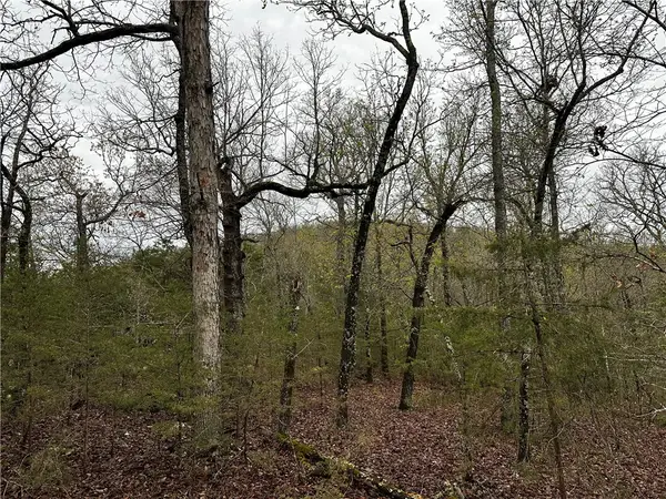 001-00447-000 Mc 6037, Yellville, AR 7268