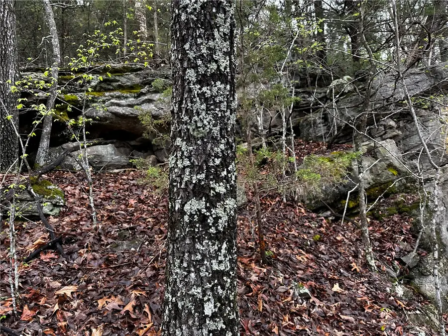 001-00447-000 Mc 6037, Marion County, AR 7268 - #2