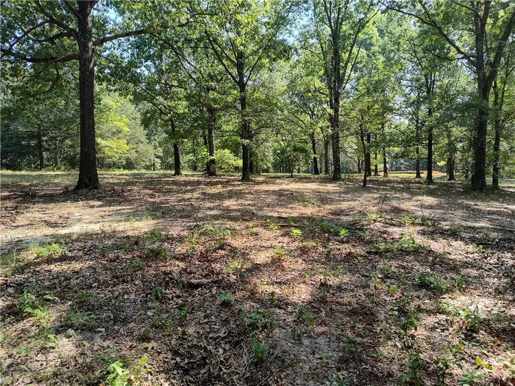 TBD Grand Oak Lane, Garfield, AR 72732 - #1