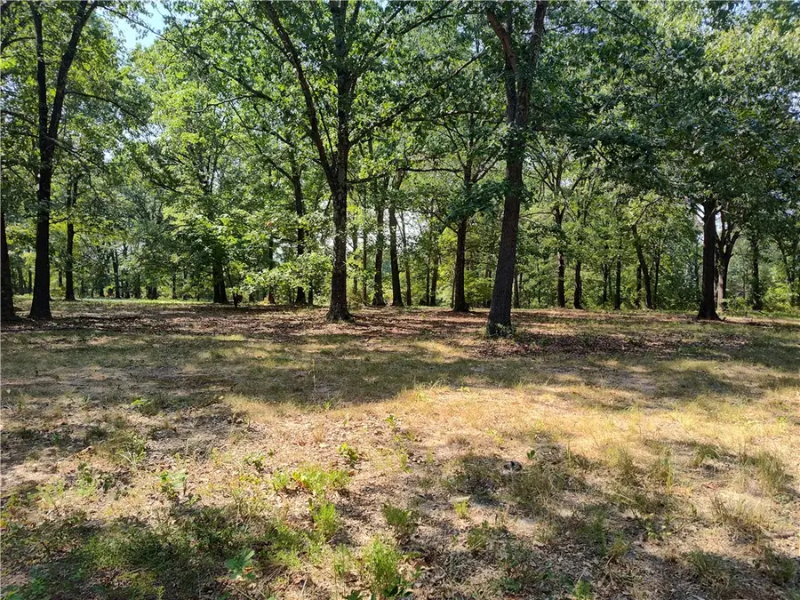 TBD Grand Oak Lane, Garfield, AR 72732 - #2