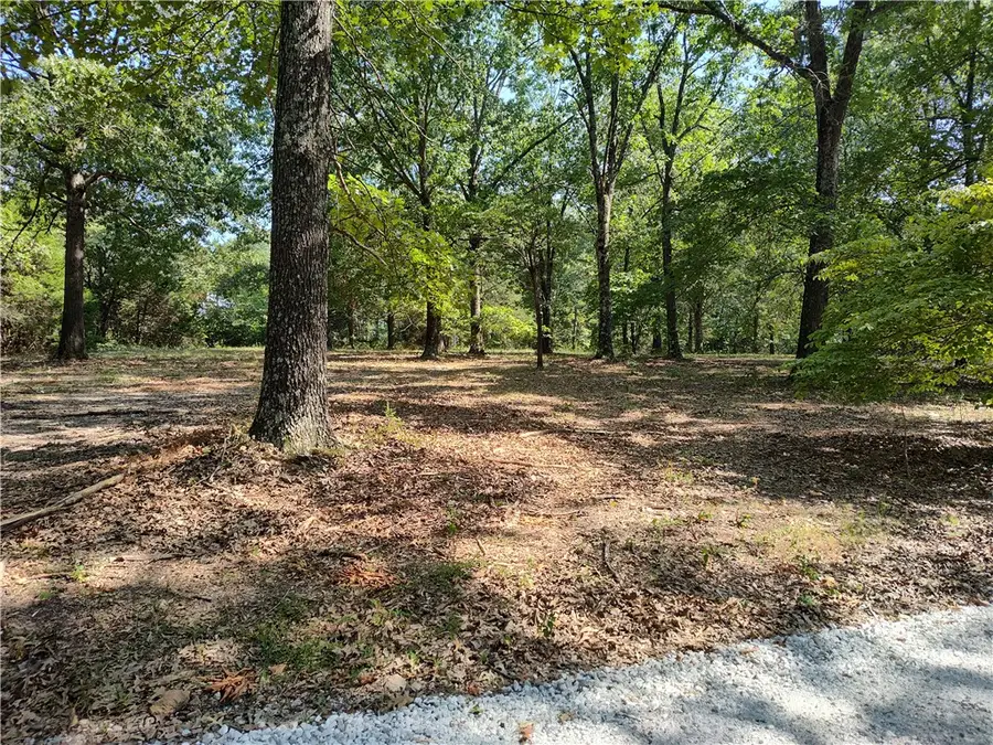 TBD Grand Oak Lane, Garfield, AR 72732 - #3