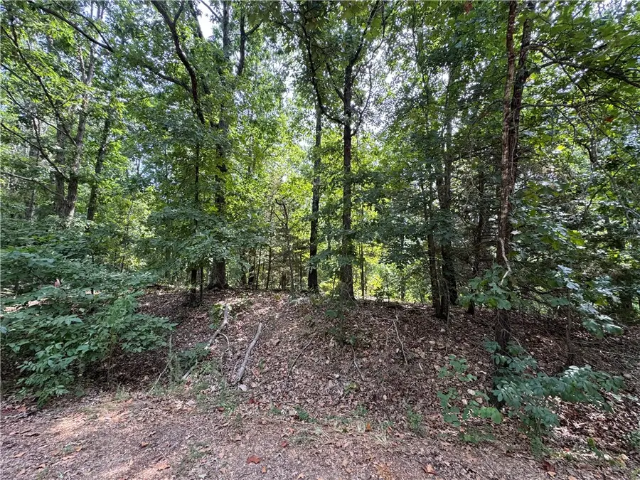 Lot 26, Block 6 Grantham Drive, Bella Vista, AR 72714 - #3
