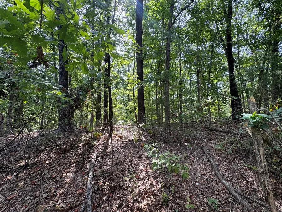 Lot 32, Block 6 Grantham Driive Drive, Bella Vista, AR 72714 - #3