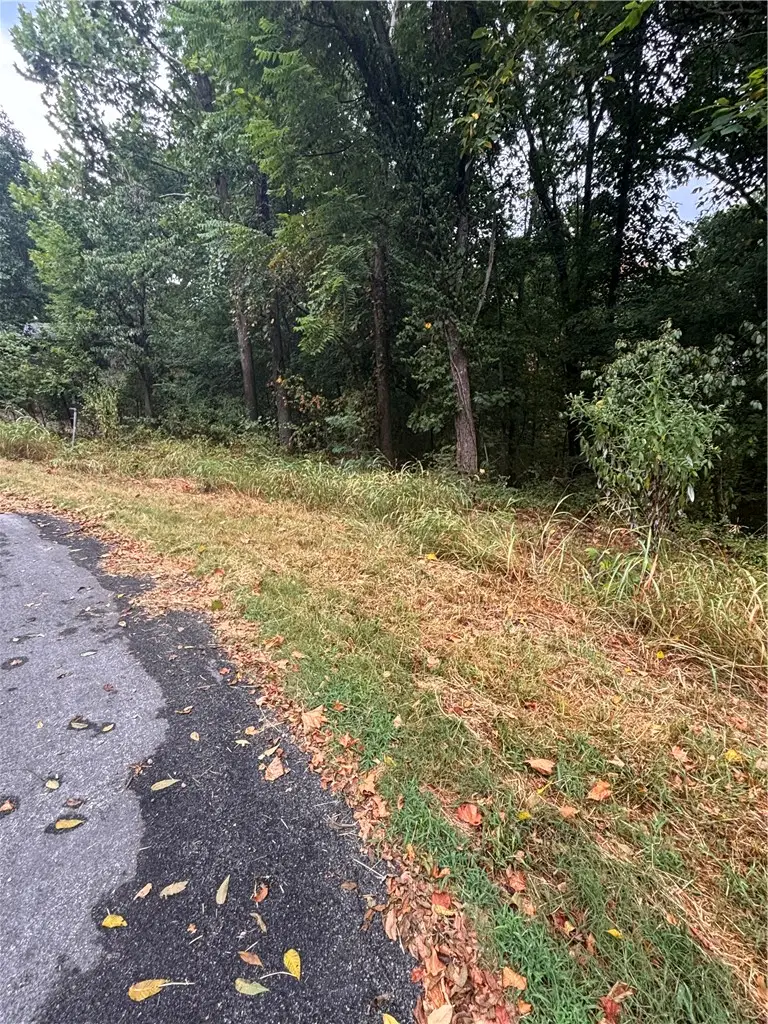Scarborough Lane, Bella Vista, AR 72715 - #1