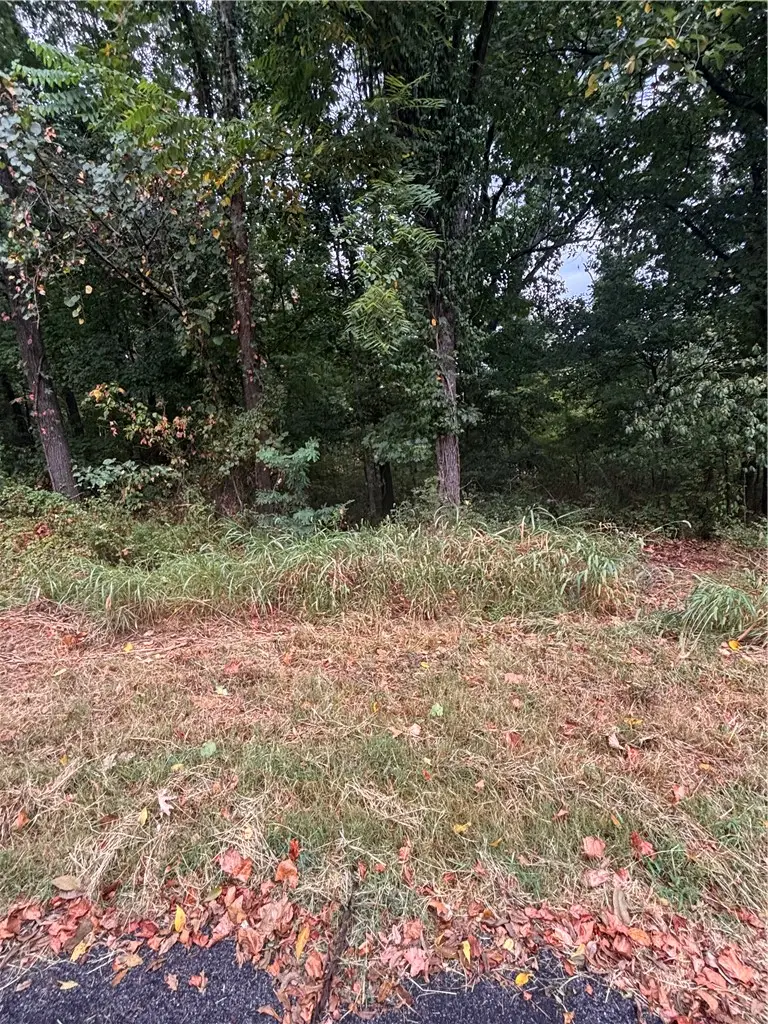Scarborough Lane, Bella Vista, AR 72715 - #3