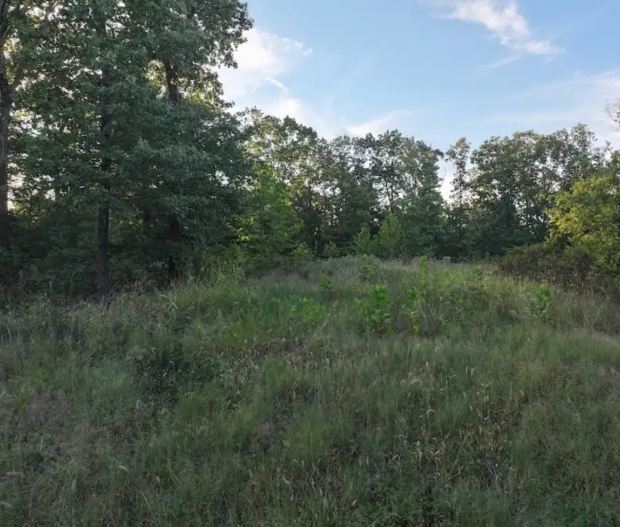 4.05 Acres Beaver Hollow Road, Garfield, AR 72732 - #3