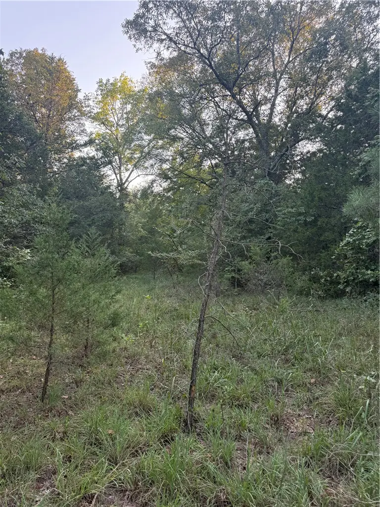 10 Earl Lane, Dover, AR 72837 - #1