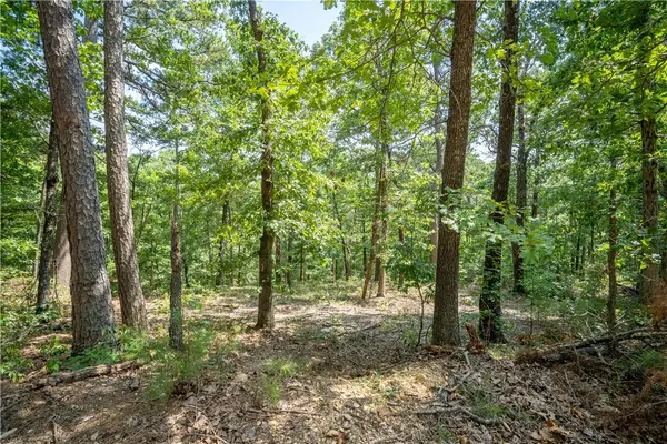 N/A Severn Lane, Bella Vista, AR 72715