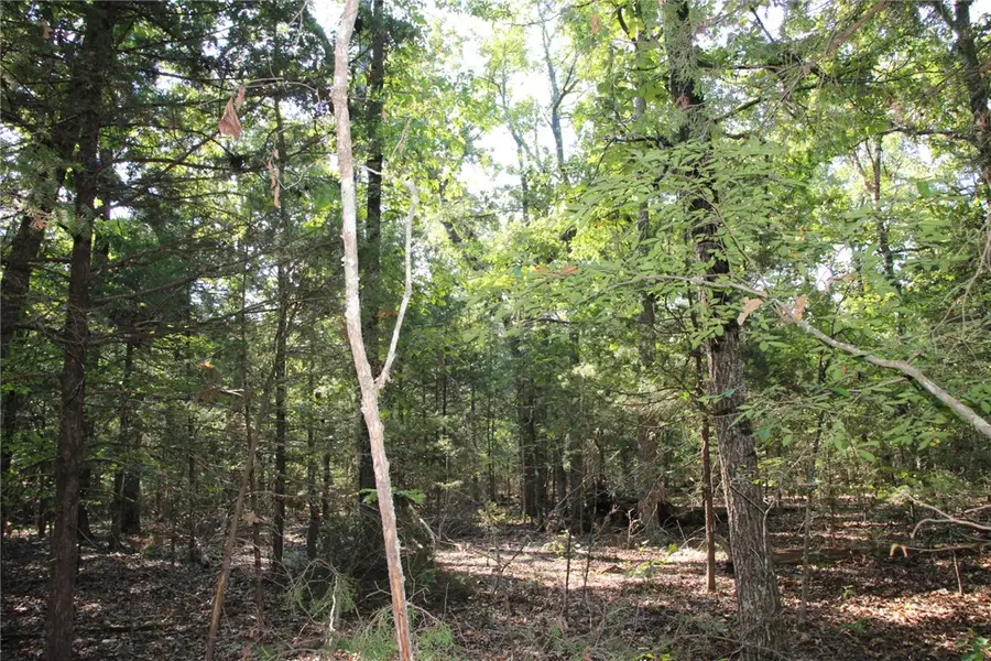 Lot 38 Jeb Road, Flippin, AR 72634 - #3