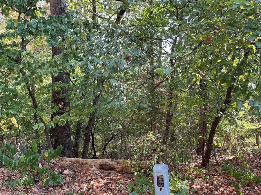 Stone Lane, Bella Vista, AR 72714 - #2