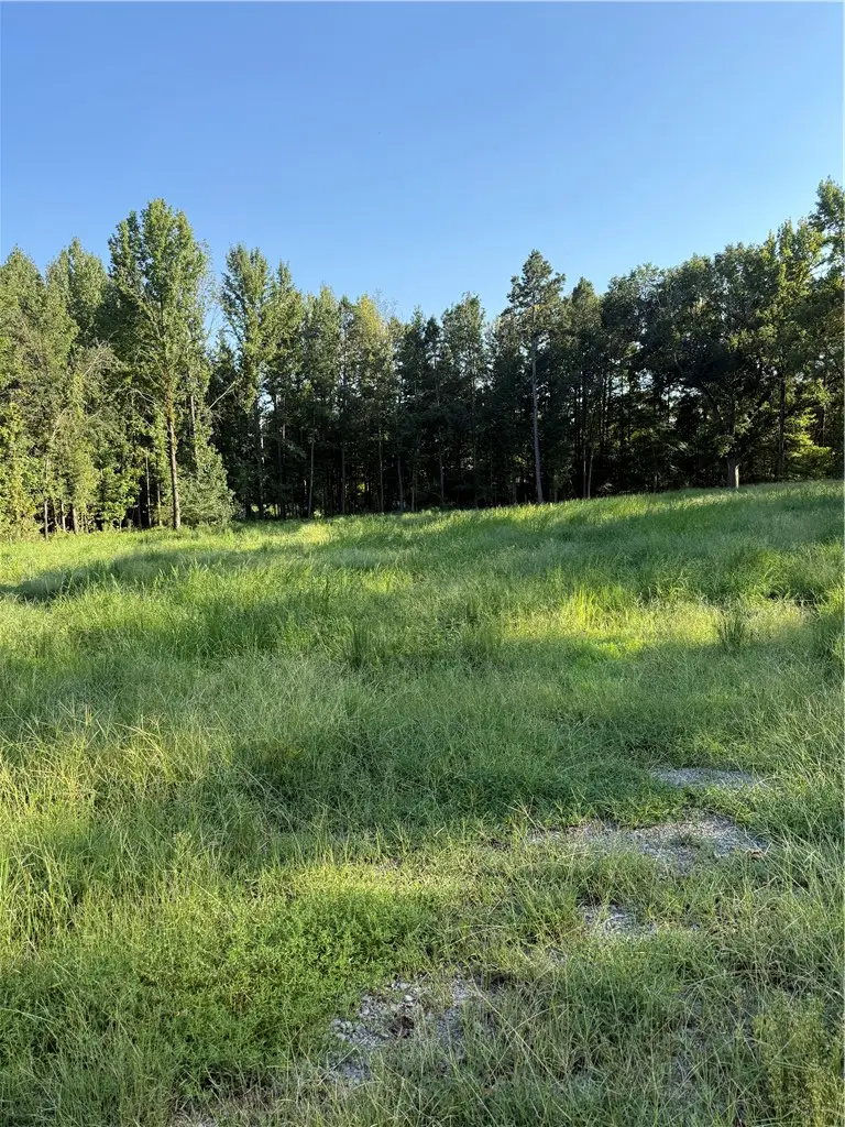 00 Randall Circle, Russellville, AR 72801 - #3